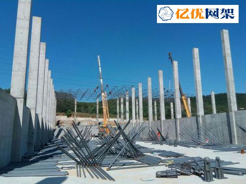 广水料棚网架设计